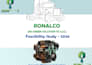 provide professional project feasibility study for companies